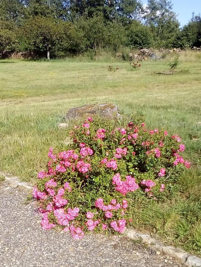 Domaine De Gentilly Saint-Maurice-les-Charencey Bagian luar foto