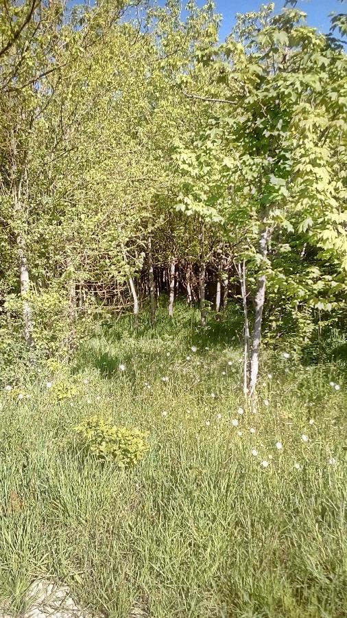 Domaine De Gentilly Saint-Maurice-les-Charencey Bagian luar foto